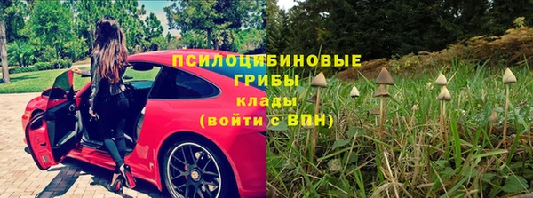экстази Алексин