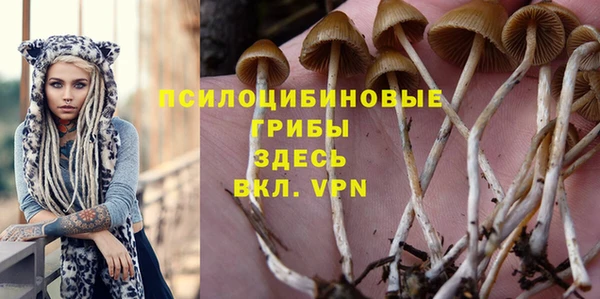 экстази Алексин