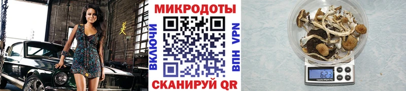 Галлюциногенные грибы мухоморы наркошоп Когалым
