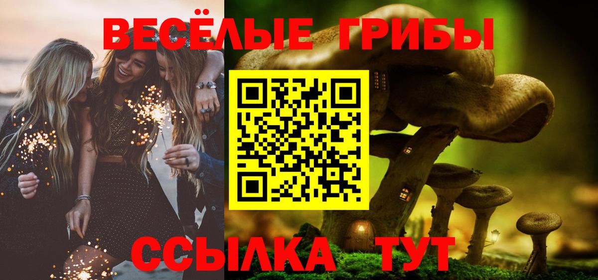 Галлюциногенные грибы мицелий  Псилоцибиновые грибы прущие грибы  Когалым  Вход с VPN 